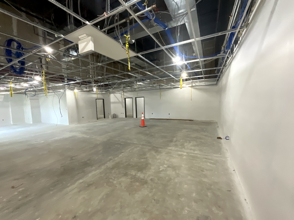 Loudoun Co PRCS Suite 270 replacement of ceiling